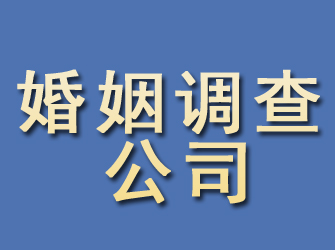 高唐婚姻调查公司